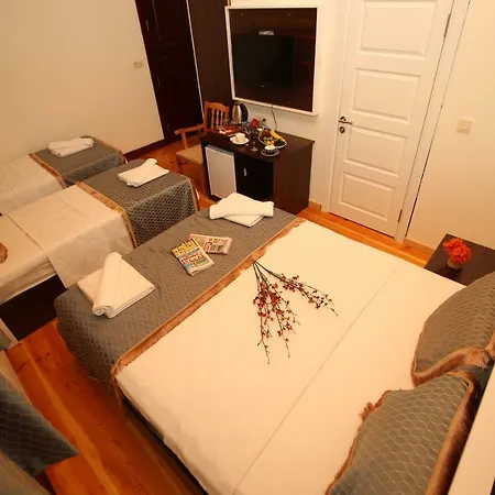 Hotel Grand Fatih Istanbulská provincie